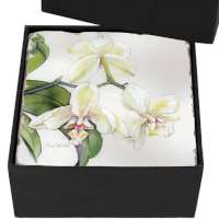 * 4 Cork-Backed Coasters White Orchid