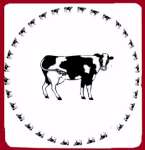 ~ Cows Square White - Metal Burner Cover